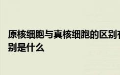 原核细胞与真核细胞的区别有哪些 原核细胞和真核细胞的区别是什么