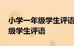 小学一年级学生评语优秀学生评语 小学一年级学生评语