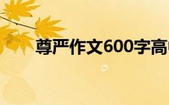 尊严作文600字高中 尊严作文600字