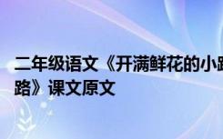 二年级语文《开满鲜花的小路》 二年级下册《开满鲜花的小路》课文原文