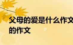 父母的爱是什么作文400字 父母的爱是什么的作文