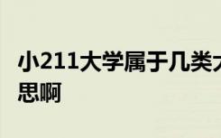 小211大学属于几类大学 小211大学是什么意思啊