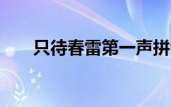 只待春雷第一声拼音 只待春雷第一声