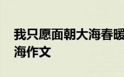 我只愿面朝大海春暖花开只愿 我只愿面朝大海作文