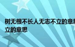 树无根不长人无志不立的意思代表什么 树无根不长人无志不立的意思