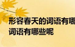 形容春天的词语有哪些呢二年级 形容春天的词语有哪些呢