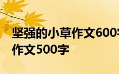 坚强的小草作文600字作文 坚强的小草-写事作文500字