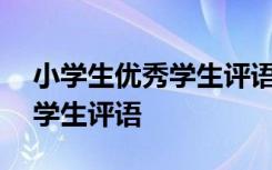 小学生优秀学生评语100字左右 小学生优秀学生评语