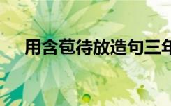 用含苞待放造句三年级 用含苞待放造句