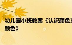 幼儿园小班教案《认识颜色》含反思 幼儿园小班教案《认识颜色》