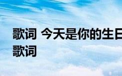 歌词 今天是你的生日 杨坤的今天是你的生日歌词