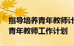 指导培养青年教师计划的培养目标 指导培养青年教师工作计划