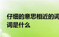 仔细的意思相近的词语有哪些 词语仔细同义词是什么