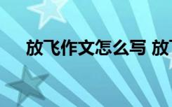 放飞作文怎么写 放飞机小学作文500字