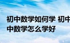 初中数学如何学 初中生数学学习方法指导_初中数学怎么学好