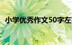 小学优秀作文50字左右 小学优秀作文50字