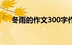 冬雨的作文300字作文 冬雨作文400字