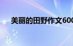 美丽的田野作文600字 美丽的田野作文