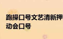 跑操口号文艺清新押韵 霸气跑操押韵口号-运动会口号