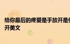 给你最后的疼爱是手放开是什么意思 给你最后的疼爱是手放开美文