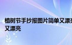 植树节手抄报图片简单又漂亮四年级 植树节手抄报图片简单又漂亮