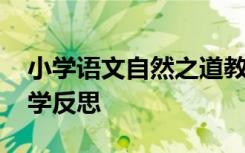 小学语文自然之道教学反思 《自然之道》教学反思