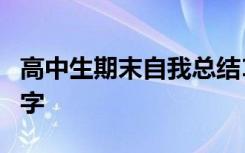 高中生期末自我总结100字 高中期末总结500字