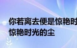 你若离去便是惊艳时光的尘埃 你若离去便是惊艳时光的尘