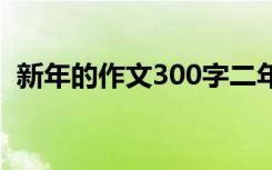 新年的作文300字二年级 新年的作文300字