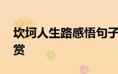 坎坷人生路感悟句子拓训 坎坷人生路美文欣赏