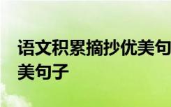 语文积累摘抄优美句子80字 语文积累摘抄优美句子