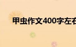 甲虫作文400字左右 小甲虫作文600字