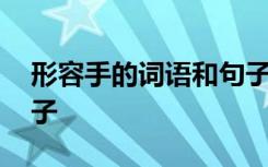 形容手的词语和句子大全 形容手的词语和句子