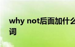 why not后面加什么词性 whynot后加什么词