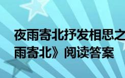 夜雨寄北抒发相思之苦的句子 思乡诗：《夜雨寄北》阅读答案