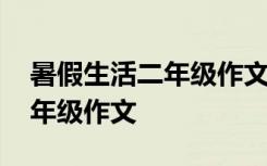 暑假生活二年级作文生日怎么写 暑假生活二年级作文