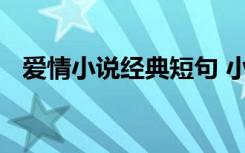 爱情小说经典短句 小说爱情段落摘抄简短