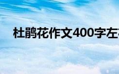 杜鹃花作文400字左右 杜鹃花作文400字