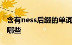 含有ness后缀的单词 带有ness后缀的单词有哪些