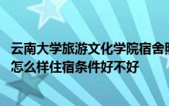 云南大学旅游文化学院宿舍照片 云南大学旅游文化学院宿舍怎么样住宿条件好不好