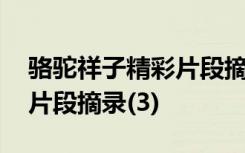 骆驼祥子精彩片段摘录及评论 骆驼祥子精彩片段摘录(3)