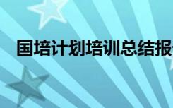 国培计划培训总结报告 国培计划培训总结