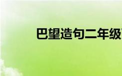 巴望造句二年级下册 巴望的造句