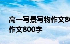 高一写景写物作文800字范文 高一写景写物作文800字