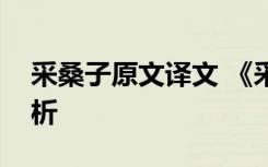 采桑子原文译文 《采桑子》的原文翻译及赏析