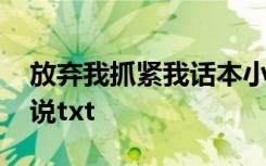 放弃我抓紧我话本小说 放弃我抓紧我原著小说txt