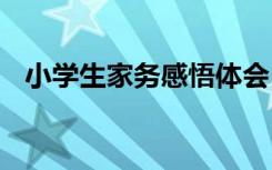 小学生家务感悟体会 小学生参加家务感悟