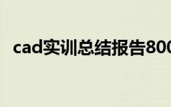 cad实训总结报告800字 cad实训总结报告