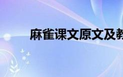 麻雀课文原文及教案 麻雀课文原文