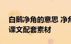 白鹅净角的意思 净角出场视频片断 《白鹅》课文配套素材